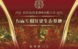 战略 | ng平台电子游戏生态红梁基地项目正式启动