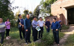 简讯 | ng平台电子游戏酿酒园区二期工程项目进入评审阶段