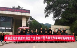 新年首喜｜ng平台电子游戏获《宜宾浓香型白酒生产企业良好行为规范》团体标准AAAA级示范企业