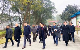 领导关怀｜宜宾市副市长薛庆考察调研ng平台电子游戏