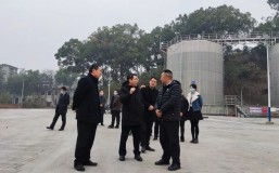 加强合作交流，促进共同发展——农发行宜宾分行行长杨涛带队调研ng平台电子游戏公司