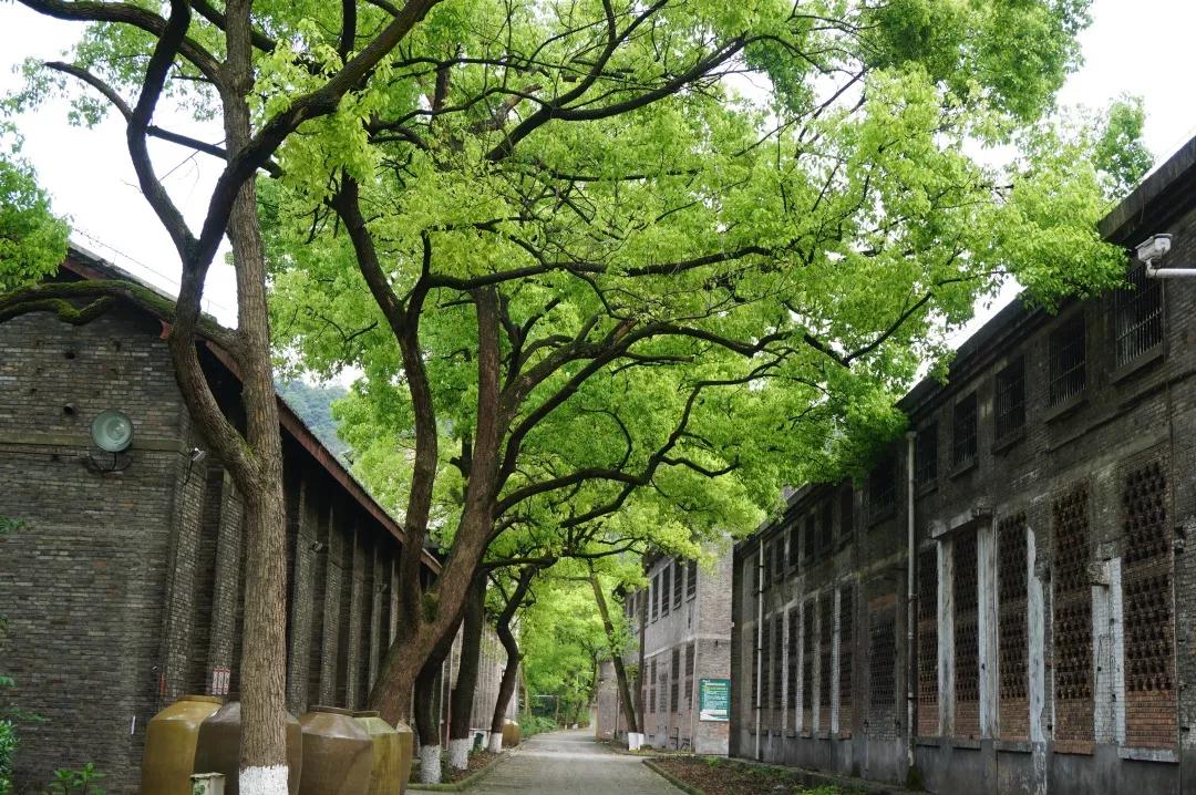 ng平台电子游戏