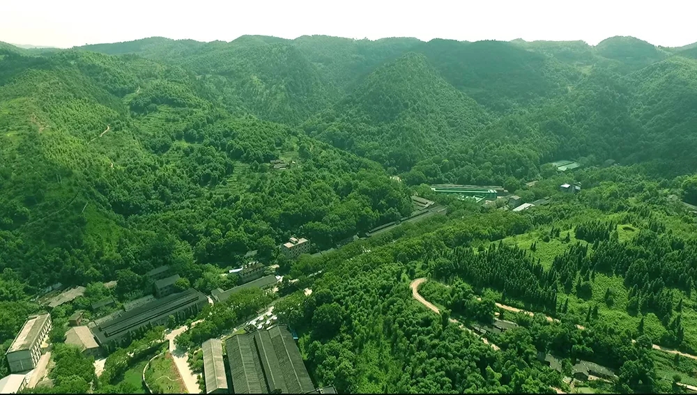ng平台电子游戏