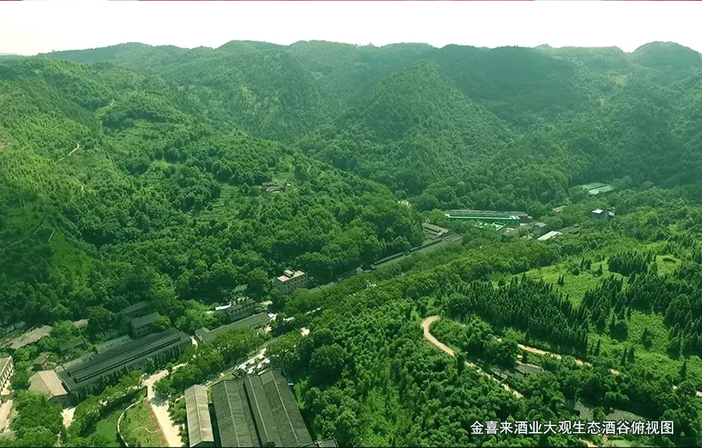 ng平台电子游戏