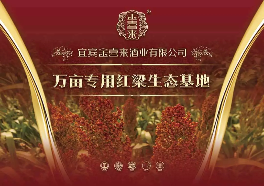 ng平台电子游戏