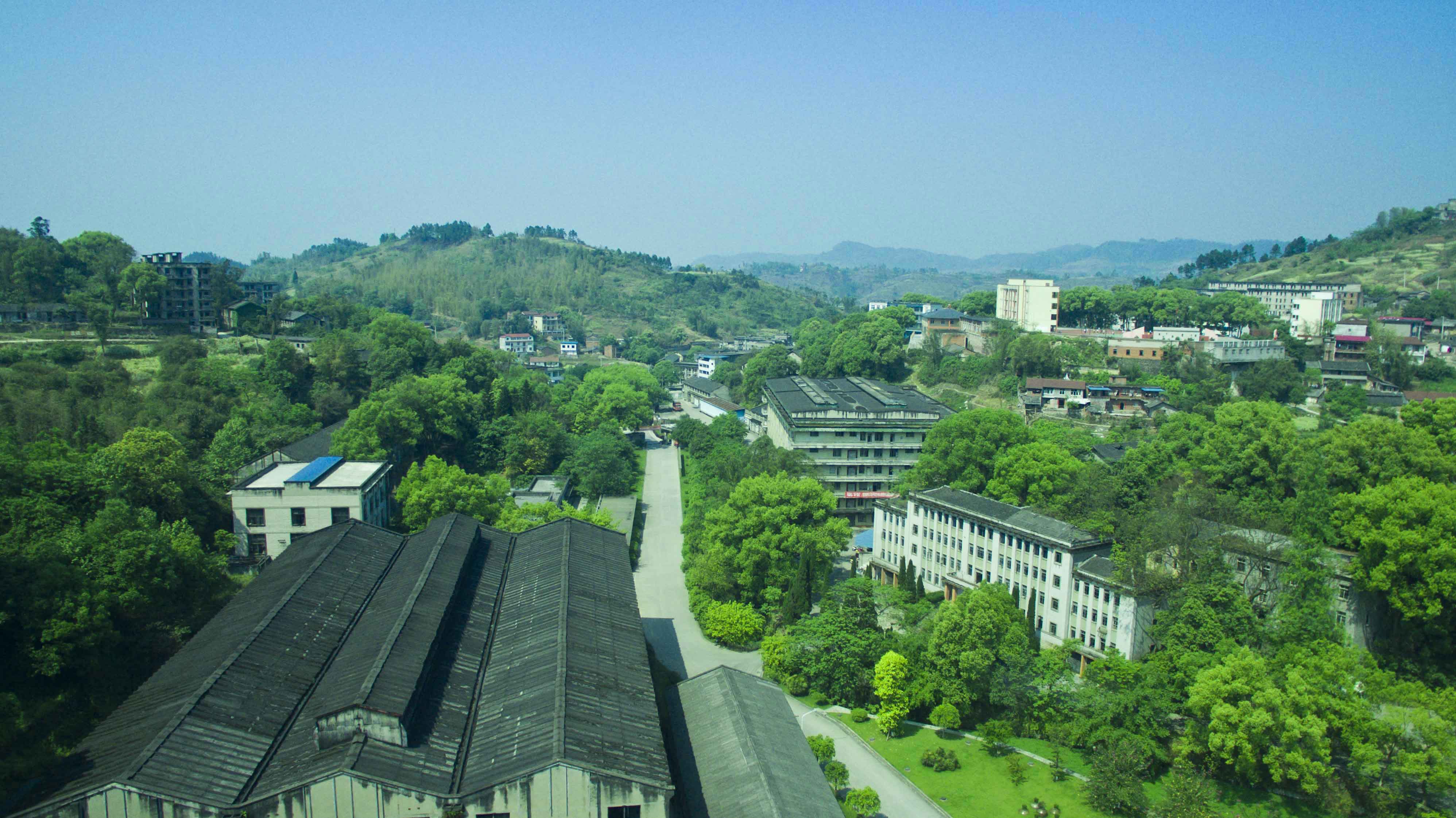 ng平台电子游戏