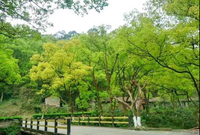 ng平台电子游戏