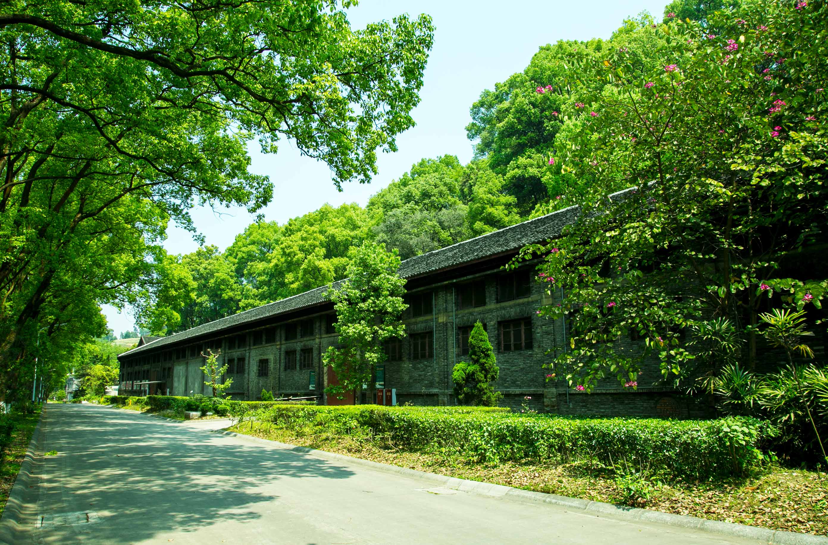 ng平台电子游戏