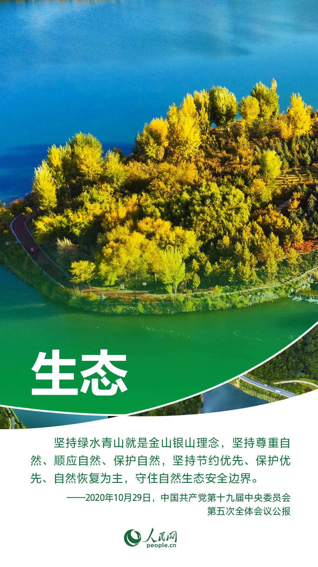 ng平台电子游戏