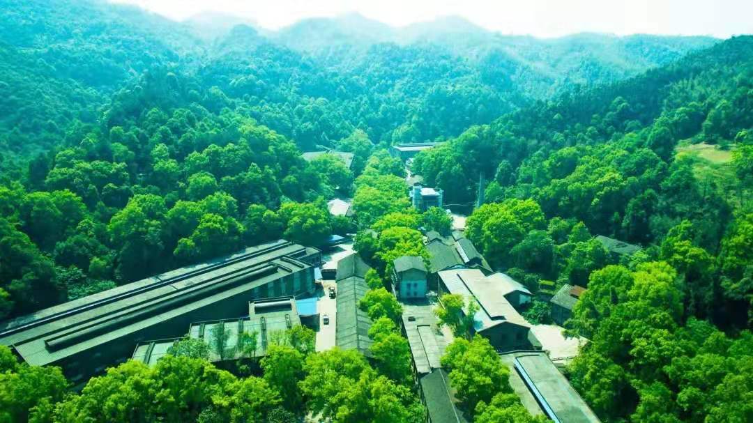 ng平台电子游戏