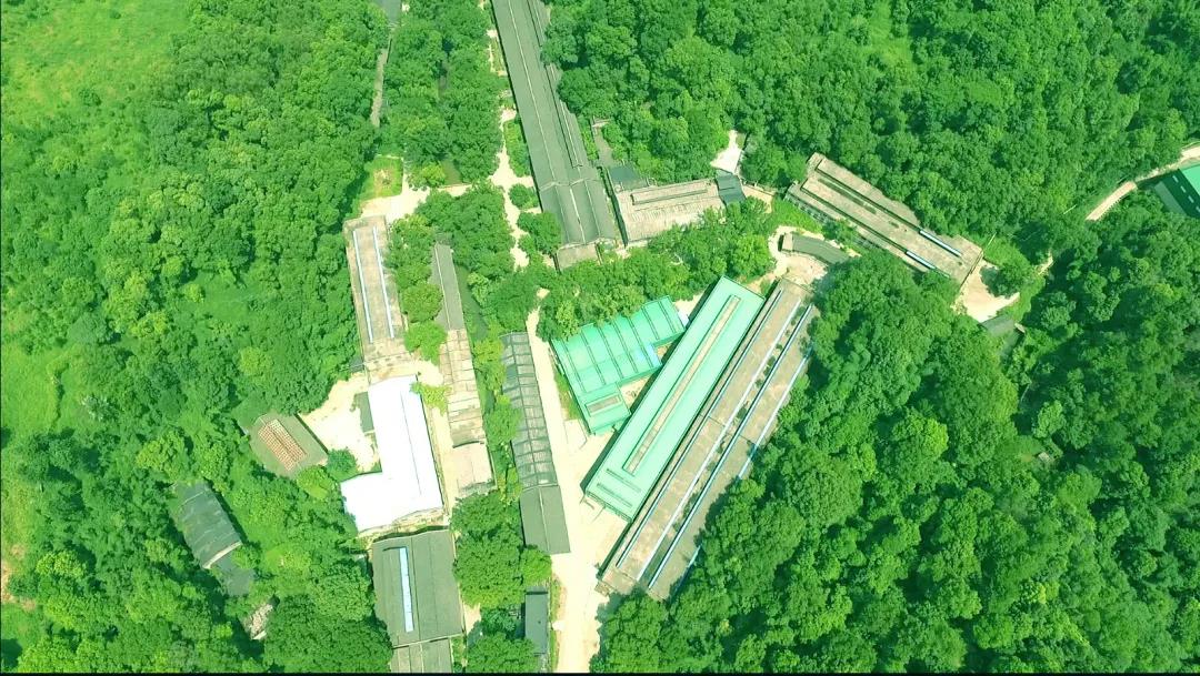 ng平台电子游戏