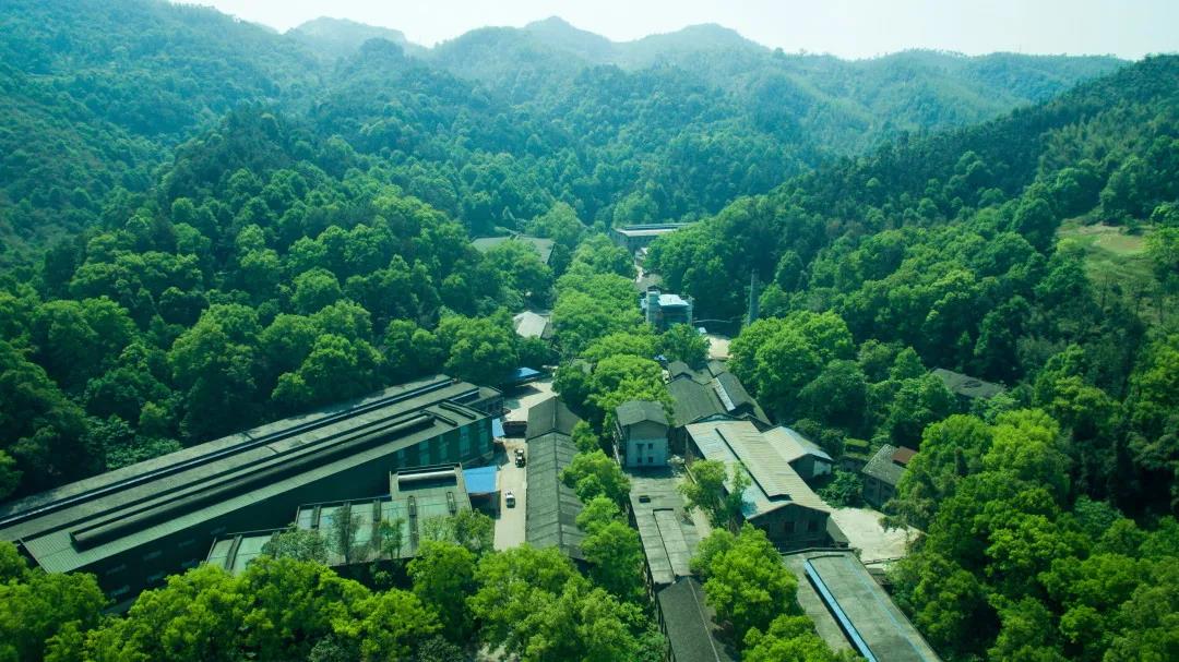 ng平台电子游戏