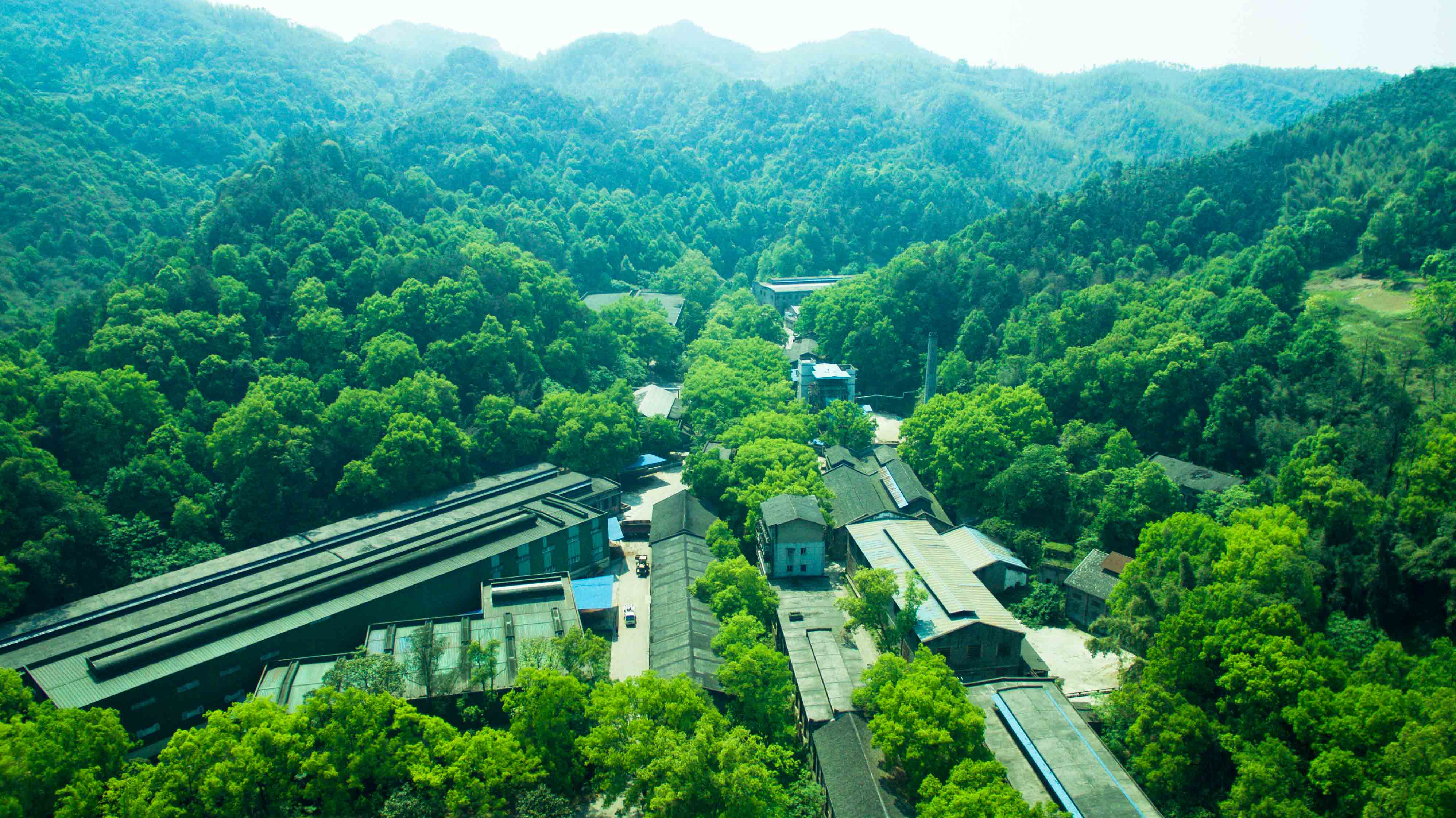 ng平台电子游戏