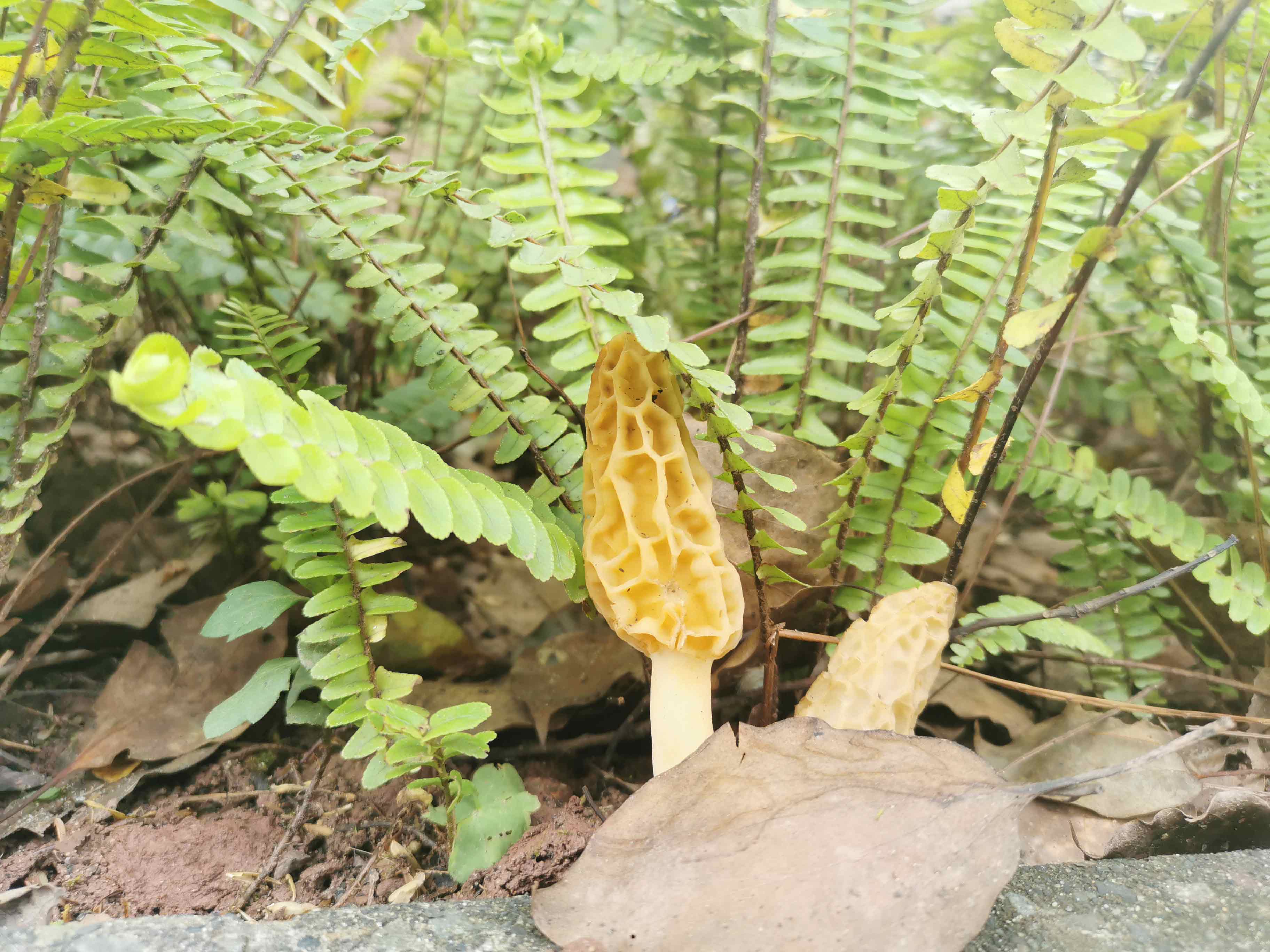 ng平台电子游戏