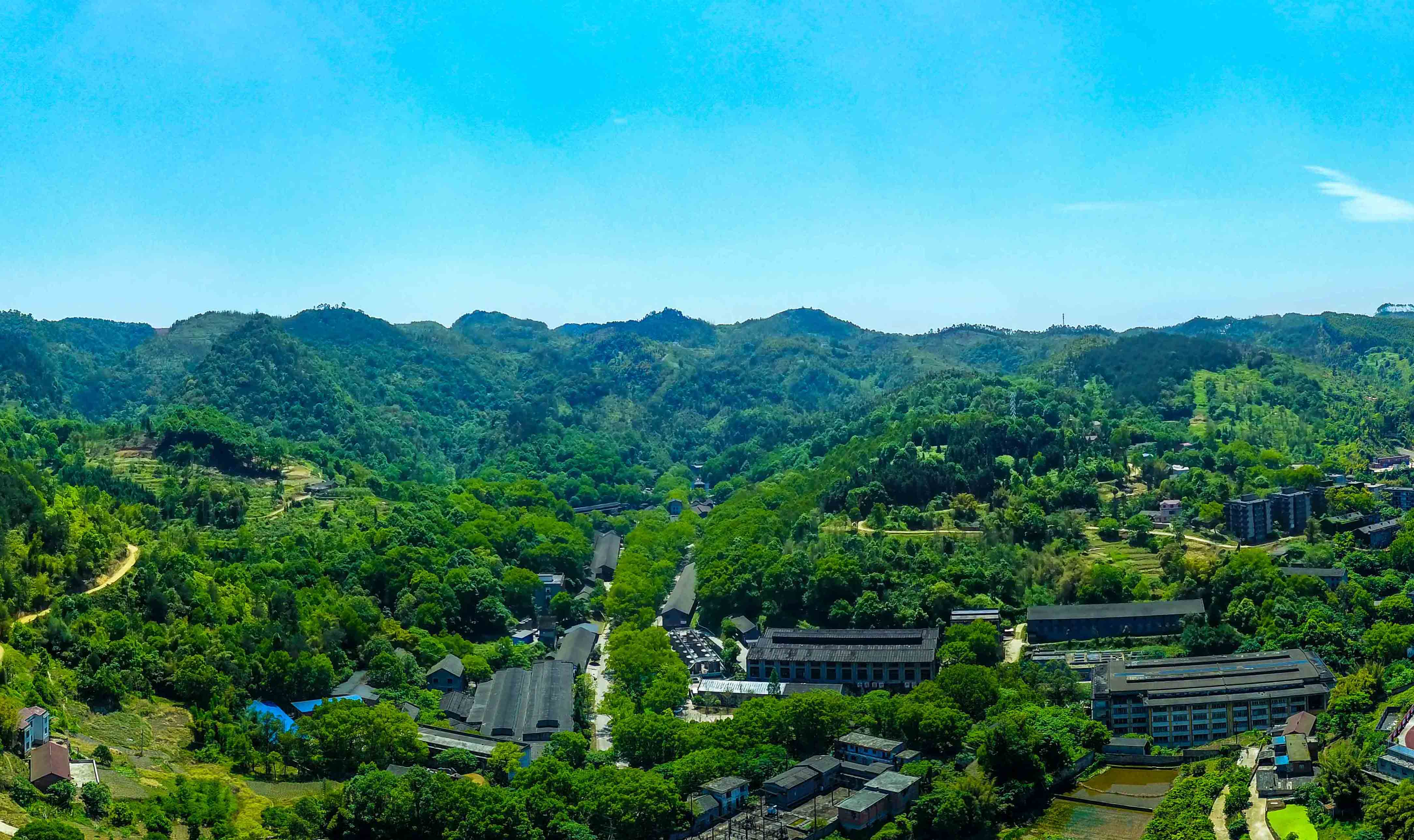 ng平台电子游戏