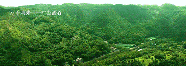 ng平台电子游戏