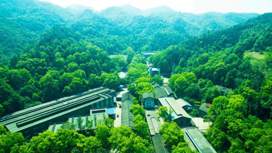 ng平台电子游戏