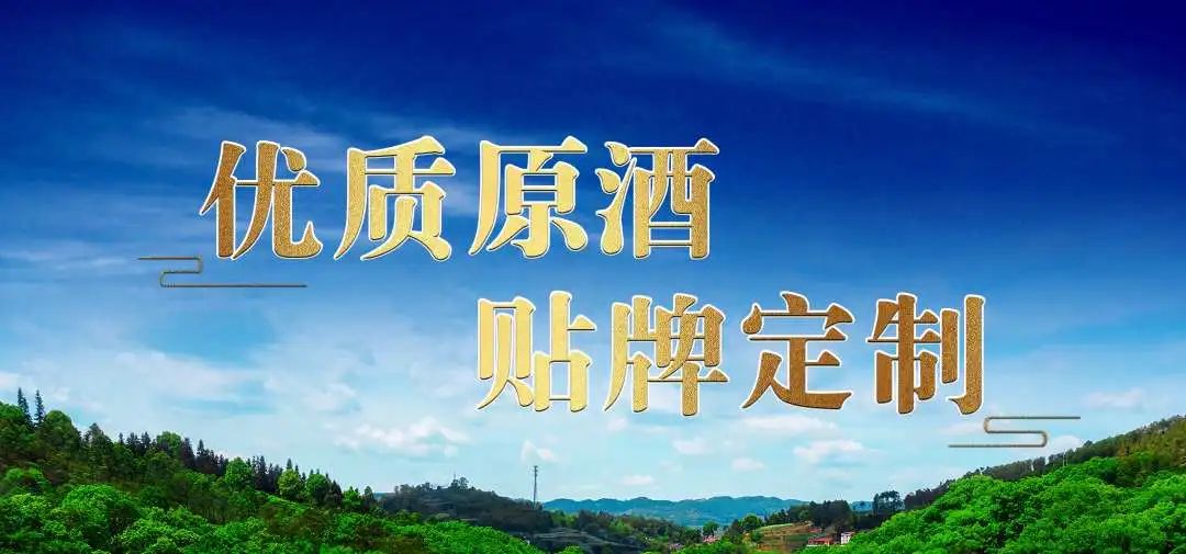 ng平台电子游戏