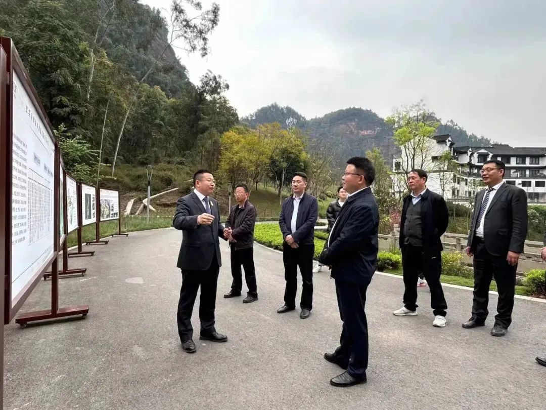 ng平台电子游戏
