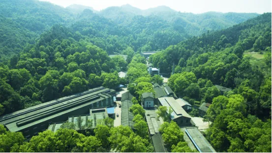 ng平台电子游戏
