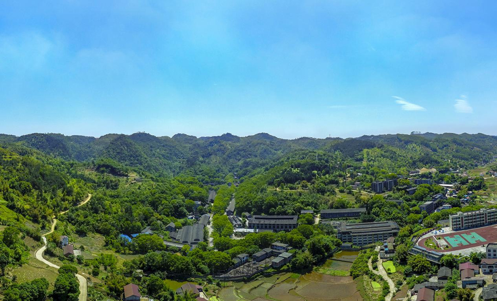 ng平台电子游戏